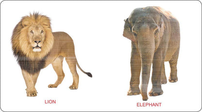 Kiddy Board Books Gift Box Set of 10 Books for 0 - 2 Years Toddler Babies