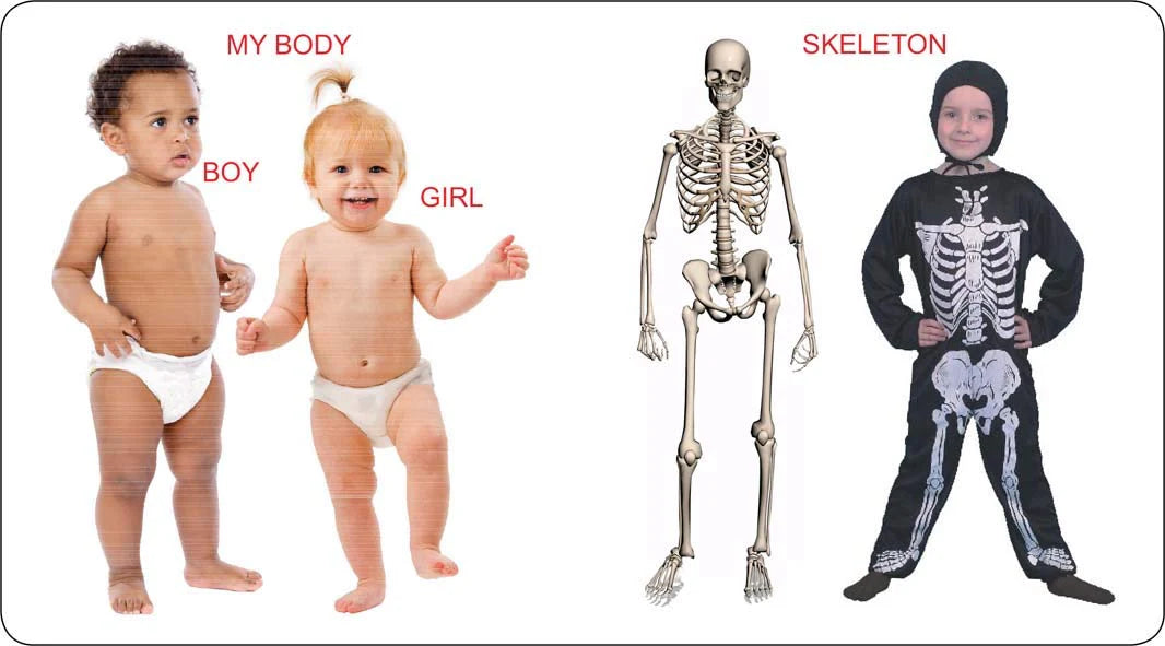 Kiddy Board Books Gift Box Set of 10 Books for 0 - 2 Years Toddler Babies