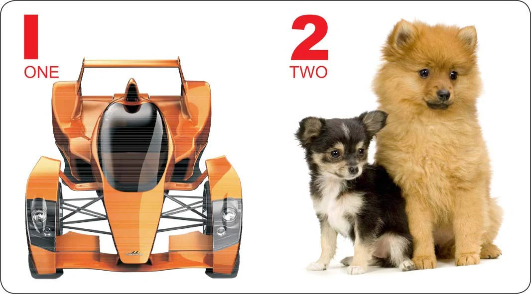 Kiddy Board Books Gift Box Set of 10 Books for 0 - 2 Years Toddler Babies