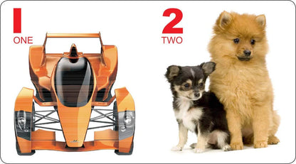 Kiddy Board Books Gift Box Set of 10 Books for 0 - 2 Years Toddler Babies