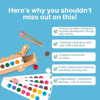 Wooden Crocodile Snap N Sort Toy