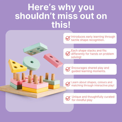 Wooden Shape Sorter Toy for Toddlers (2+ Year Old)